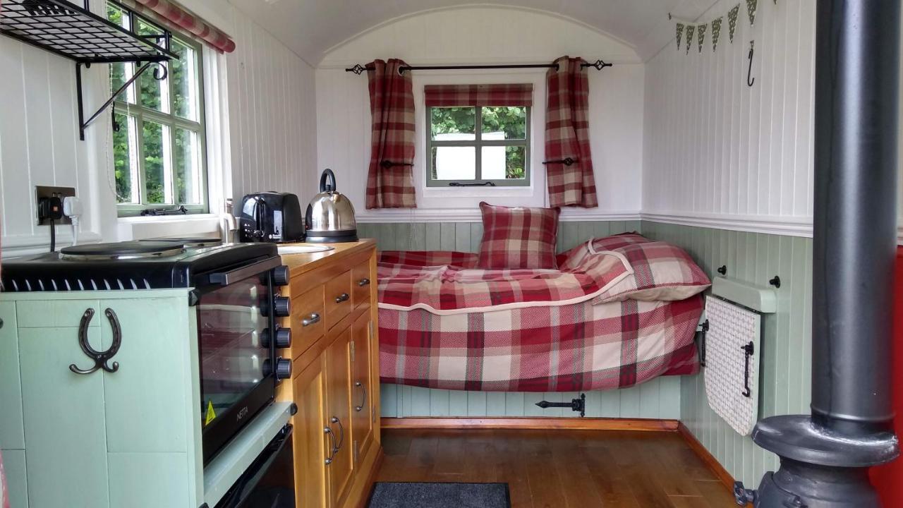 Shepherd'S Lodge - Shepherd'S Hut With Devon Views For Up To Two People And One Dog Wrangaton Dış mekan fotoğraf