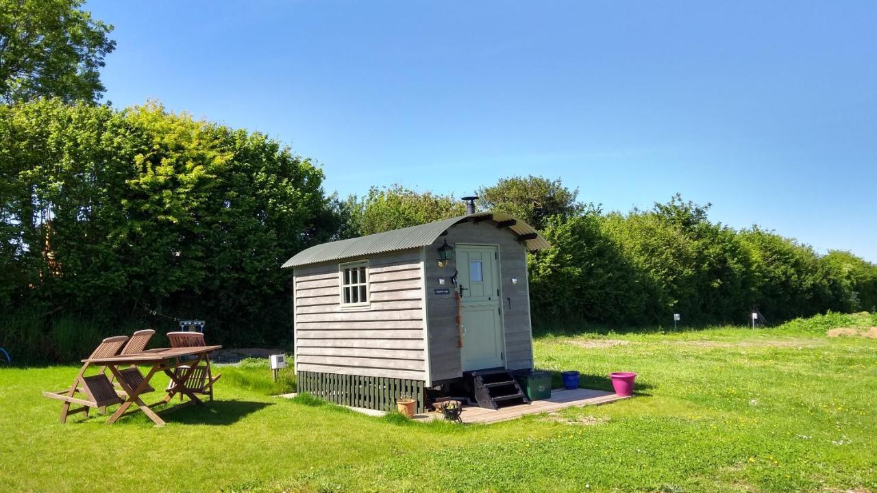 Shepherd'S Lodge - Shepherd'S Hut With Devon Views For Up To Two People And One Dog Wrangaton Dış mekan fotoğraf